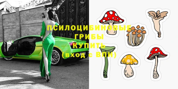 крисы Ладушкин