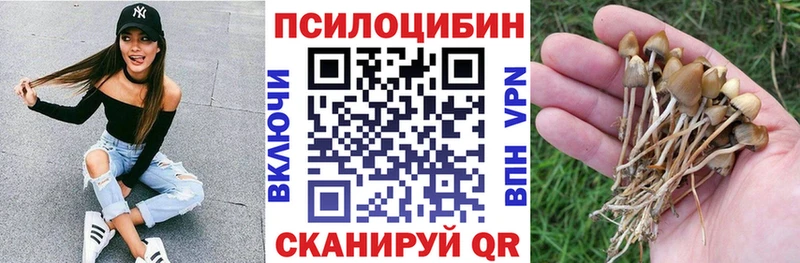 Купить где Истра Псилоцибиновые грибы Psilocybine cubensis